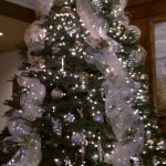 The Halekulani's Tree
