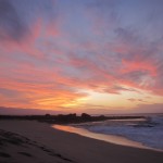 IMG_0786 (640x477)