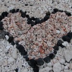 Waikoloa, Big Island 2.27.12