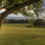 long view