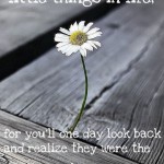 little things