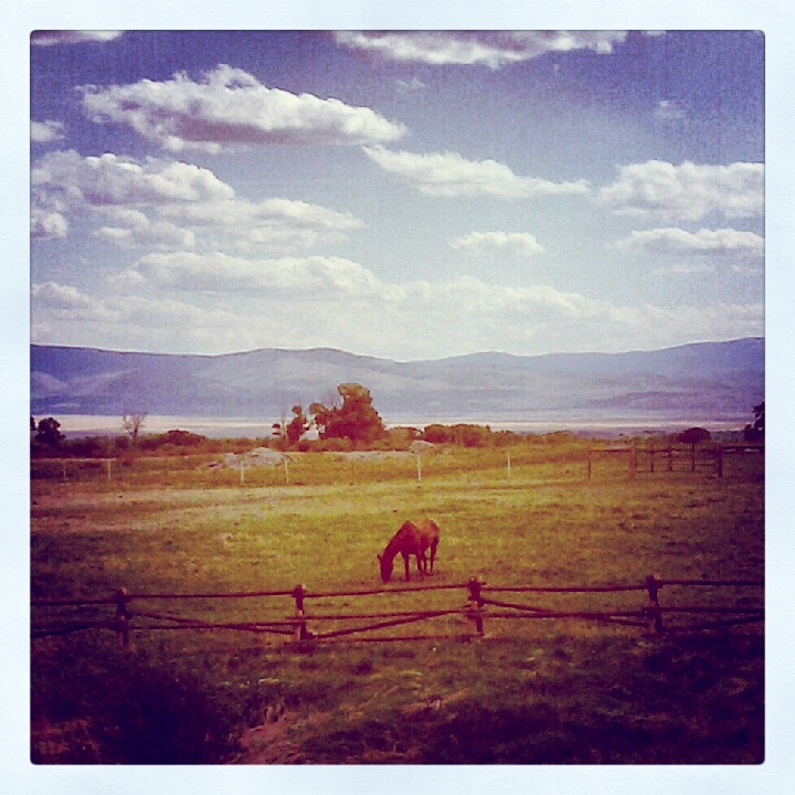 Ranch Life via Instagram